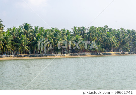 Backwaters of Kemmanu delta Backwaters of Kemmanu delta 99661741