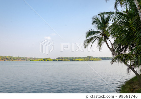 Backwaters of Kemmanu delta Backwaters of Kemmanu delta 99661746