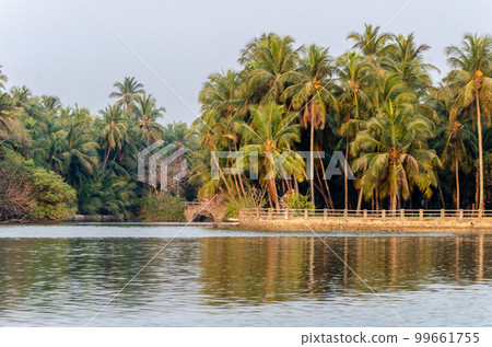 Backwaters of Kemmanu delta 99661755