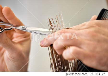 Professional male hairdresser cutting female hair in salon Professional male hairdresser cutting female hair in salon 99663124