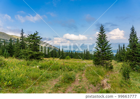 Forests and mountains of the Southern Urals near the village of Tyulyuk in Russia. Drone view. 99663777