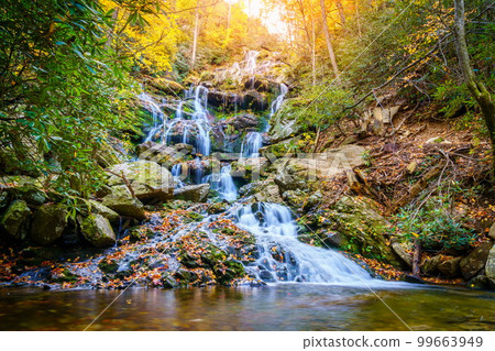 Catawba Falls Catawba Falls 99663949