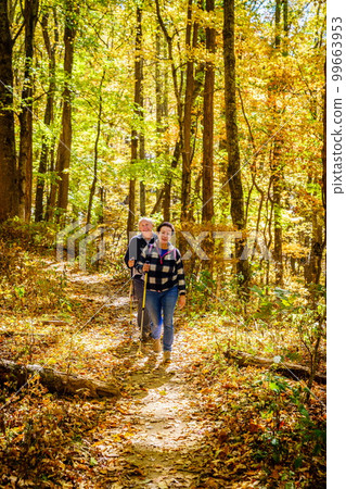 Senior couple hiking 99663953