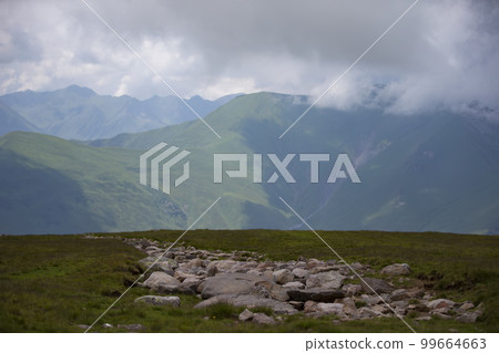 Mountains in clouds and clouds. Aerial view of a mountain peak with green trees in the fog. Beautiful landscape with high cliffs, forest, sky. mountain valley 99664663