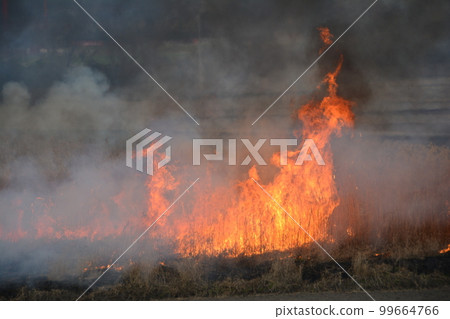 Akigase Beautiful scenery of slash-and-burn farming 3 Fire Akigase Beautiful scenery of slash-and-burn farming 3 Fire 99664766