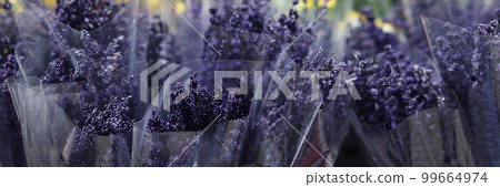 Bouquets of fragrant fresh purple lavenders in market Bouquets of fragrant fresh purple lavenders in market 99664974