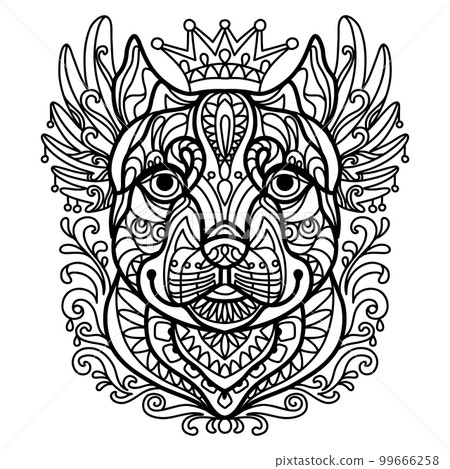 Coloring book page pitbull dog vector illustration 99666258