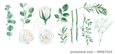 Watercolour floral set isolated on white background. White roses, stems, green leaves and twigs for bouquets, wreaths, wedding, anniversary, birthday cards design. 99667028