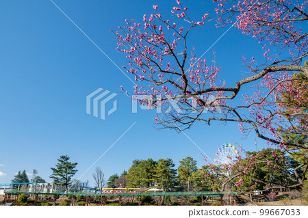 Amusement park area seen from Aoi Bairin (Minami Park, Okazaki City, Aichi Prefecture) 99667033