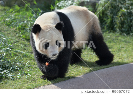 我吃零食的海灘 99667072