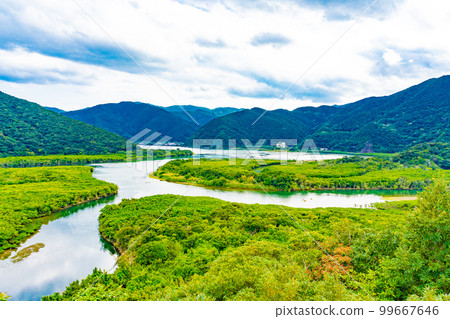 Mangrove forests of Amami Oshima Mangrove forests of Amami Oshima 99667646