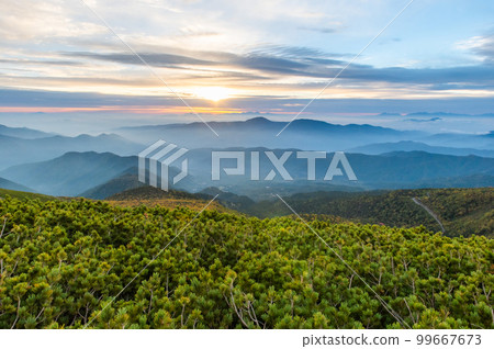 乘倉和榻榻米平的早晨 99667673
