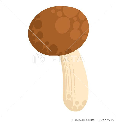 Asian Shiitake mushroom or fungi. Raw forest edible fungus composition. Natural organic vegetarian food. Colored hand-drawn vector illustration of lentinula edodes isolated on white background 99667940