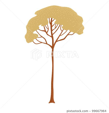 Deciduous and evergreen forest plant isolated on white background. Botanical bare tree and ones with leaves and lush crowns. Flat vector illustration on white background 99667964