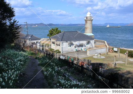 男木島燈塔和水仙花(香川縣高松市) 男木島燈塔和水仙花(香川縣高松市) 99668002