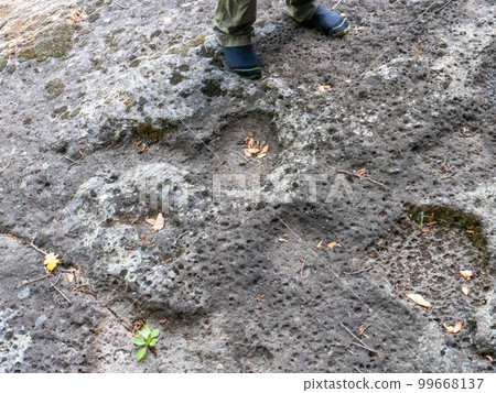 The Ciampate del Diavolo fossilised human footprints preserved i 99668137