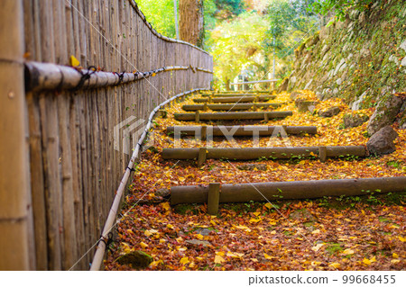 京都西山 Konzo-ji 寺的秋葉 Momiji-no-apporo 京都西山 Konzo-ji 寺的秋葉 Momiji-no-apporo 99668455