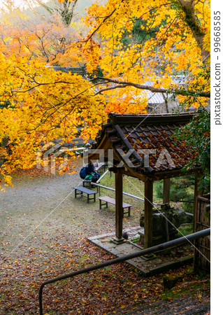 京都西山 Konzoji 寺的秋葉，京都 Temizuya 99668585