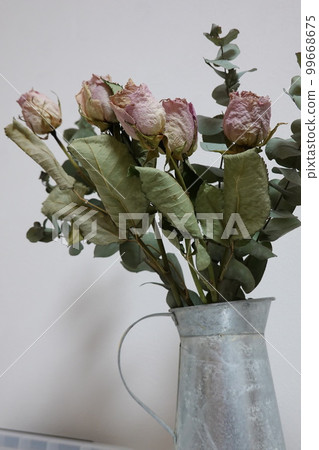 Rose dry flower 99668675