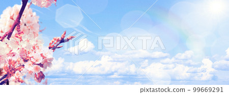 Beautiful nature view of spring flowering trees on blurred background. 99669291