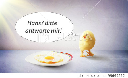 Little cute baby chick for easter. Yellow newborn baby chick. 99669312