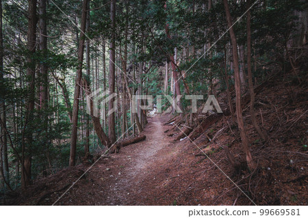 Hiking the Hira-Hiei Trail on Mt. Hiei 99669581