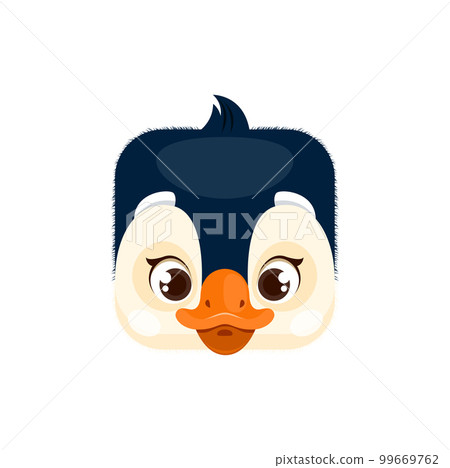 Cartoon penguin kawaii square animal face, isolated funny bird head icon. Funny vector character portrait, cute arctic creature. App button, graphic design element, ui or gui avatar Cartoon penguin kawaii square animal face, isolated funny bird head icon. Funny vector character portrait, cute arctic creature. App button, graphic design element, ui or gui avatar 99669762