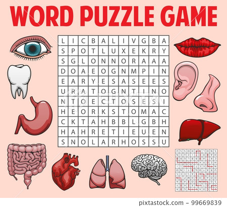 Human organs and body parts. Word search puzzle game worksheet. Quiz grid, intellectual game or vector text puzzle with lips, colon and lungs, liver, brain and ear, eye, nose and stomach, heart, tooth 99669839