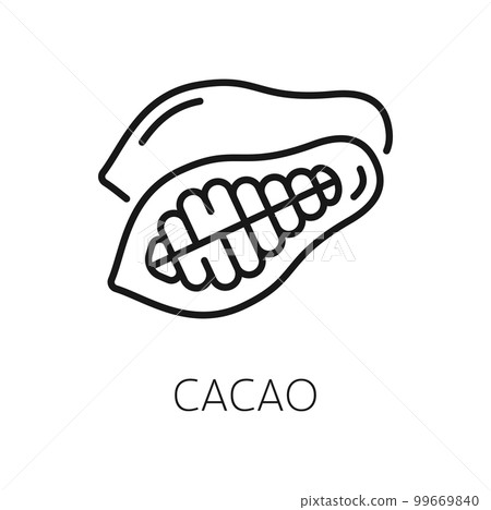 Cocoa or cacao beans isolated outline icon. Vector thin line drawing of cocoa pod with seeds, packaging design element 99669840