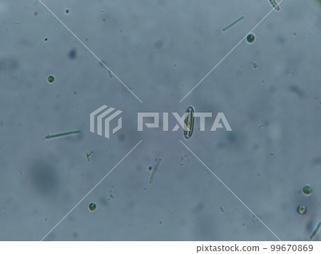 Funagatakesou的朋友 Funagatakesou的朋友 99670869