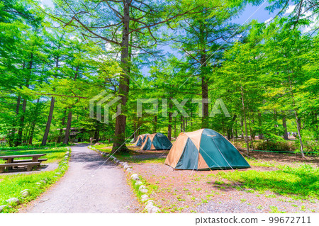 [Camping material] Fresh green camping scenery [Nagano Prefecture] 99672711
