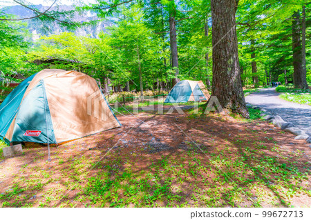 [Camping material] Fresh green camping scenery [Nagano Prefecture] 99672713