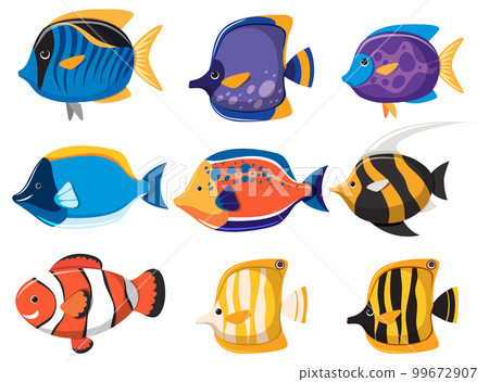 Set of colourful saltwater fish cartoon simple style Set of colourful saltwater fish cartoon simple style 99672907