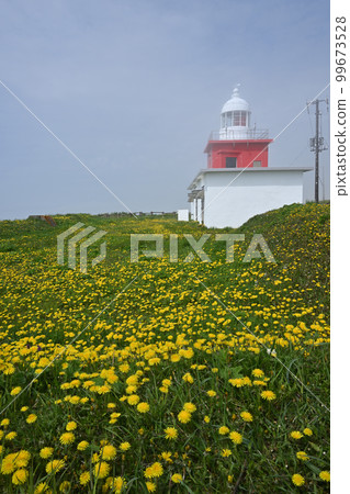 蒲公英和由吹燈塔 99673528