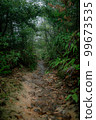 多雨的山路 99673535