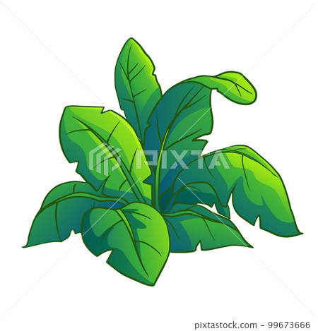 illustration shrub for cartoon isolated on white background illustration shrub for cartoon isolated on white background 99673666