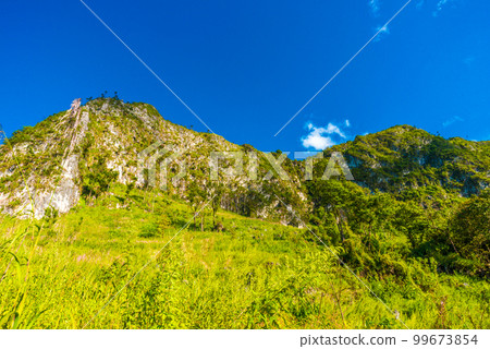 Mountain landscape with green grass field 99673854