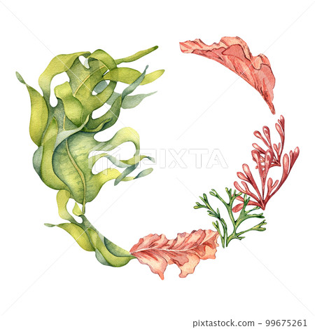 Frame of colorful sea plants watercolor illustration isolated on white. 99675261