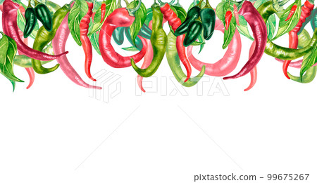 Banner of various hot peppers watercolor illustration isolated on white. 99675267