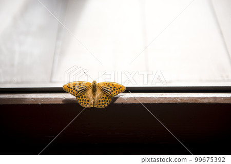 Shiga Kogen Hotel Shiga Kogen Hotel 99675392