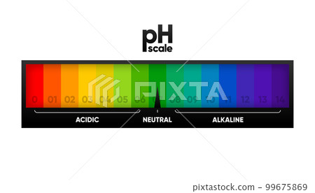 PH scale meter for acidic and alkaline solutions. Acid-base balance scale. Chemical test. Vector illustration. 99675869