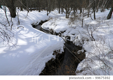 Winter scenery of Oku-Nikko 99675892