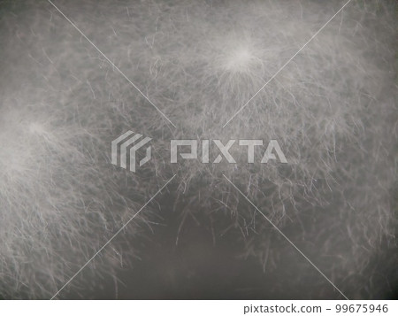 模具的特寫顯微照片 99675946