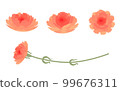 Carnation illustration parts set 99676311