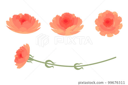 Carnation illustration parts set 99676311