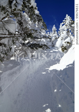 【固定價格】嚴冬北橫岳林帶風光(從北橫岳小屋到南峰的區間) 【固定價格】嚴冬北橫岳林帶風光(從北橫岳小屋到南峰的區間) 99676631