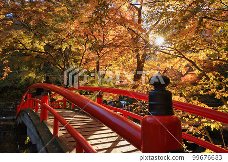Kajika Bridge in Ikaho Onsen with autumn leaves (Shibukawa City, Gunma Prefecture) Kajika Bridge in Ikaho Onsen with autumn leaves (Shibukawa City, Gunma Prefecture) 99676683