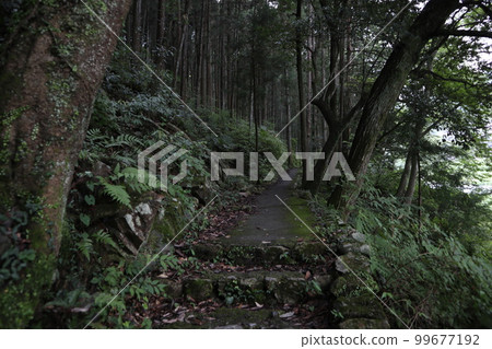 玉川禦岳峽遊覽 玉川禦岳峽遊覽 99677192