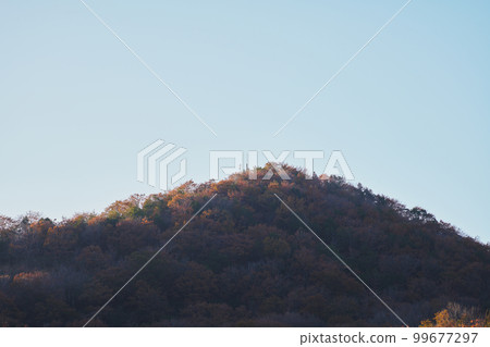 從兵庫縣小野阿爾卑斯登山道看到的風景 99677297