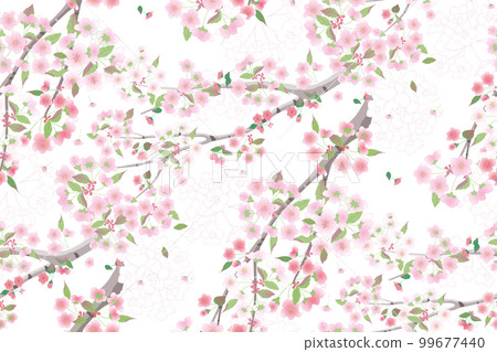 Vector illustration of a seamless pattern of cherry blossom flowers for various events like weddings, anniversaries, birthdays, and parties. The design can be used for creating invitation cards Vector illustration of a seamless pattern of cherry blossom flowers for various events like weddings, anniversaries, birthdays, and parties. The design can be used for creating invitation cards 99677440